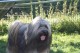 Thumbs/tn_Bild-01 046.jpg